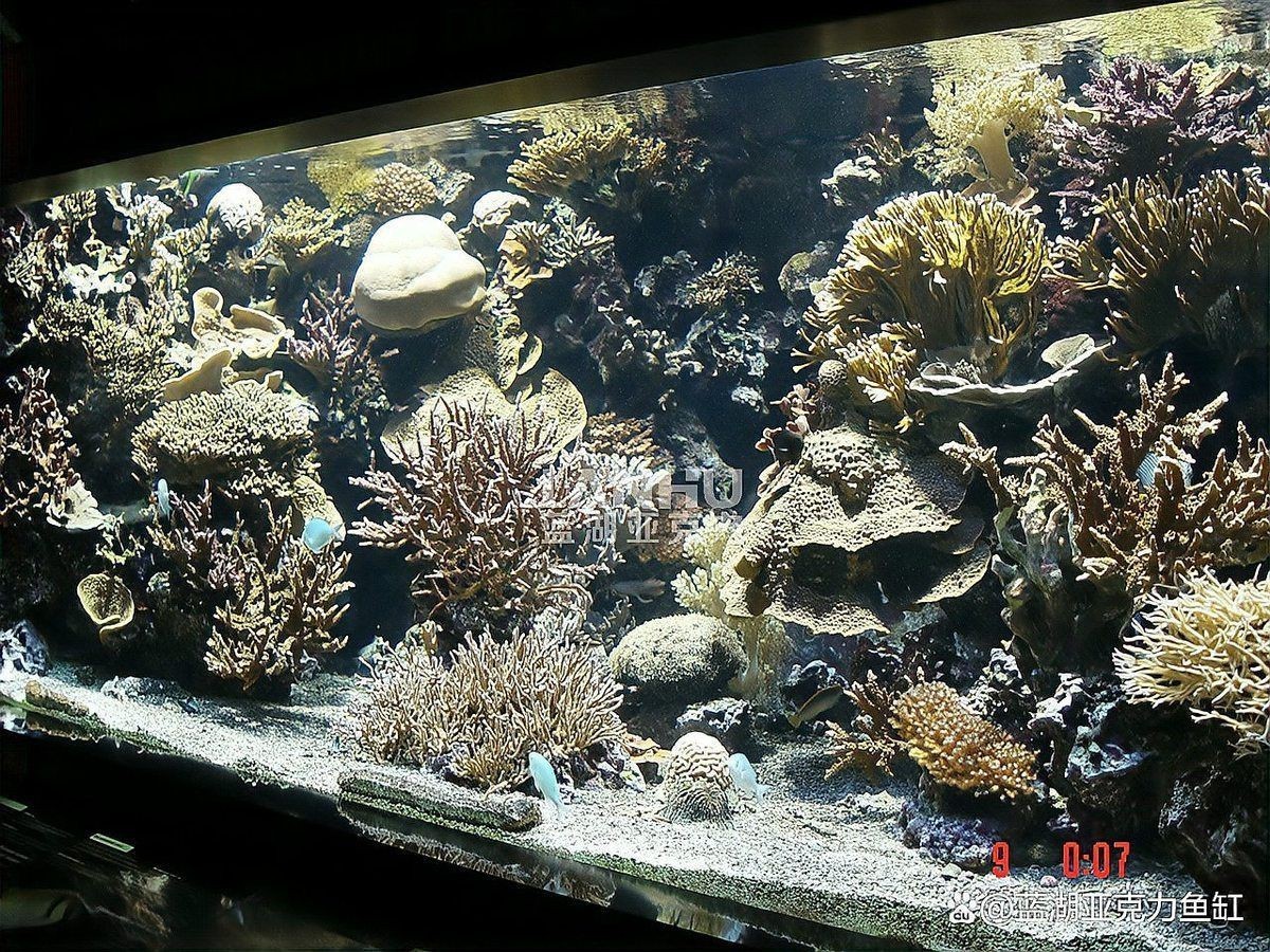 牧龍居水族箱照明燈，牧龍居水族箱led照明燈