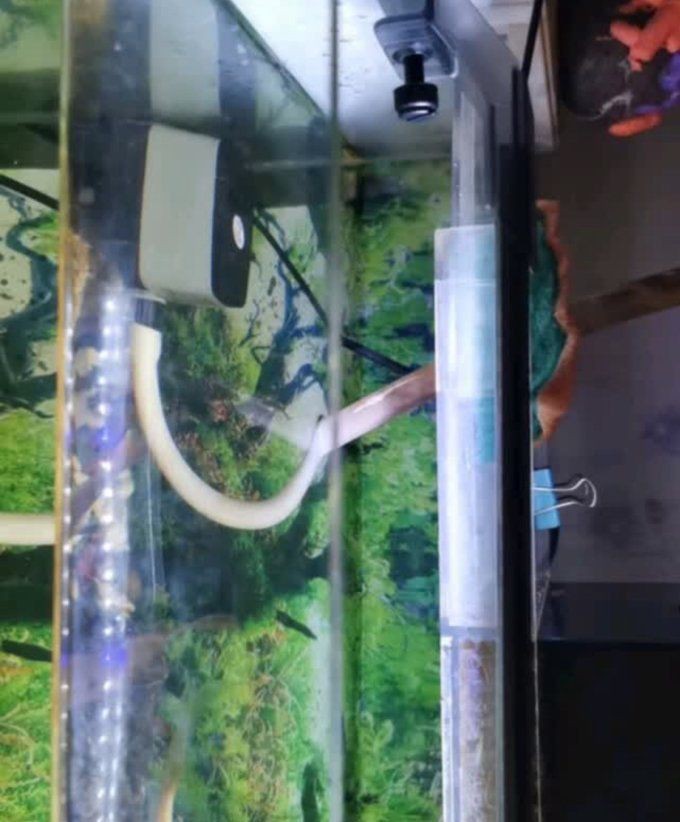 牧龍居水族箱照明燈，牧龍居水族箱led照明燈