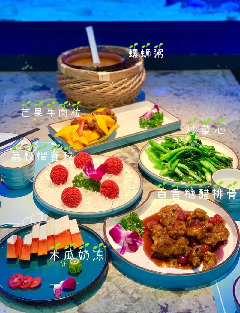 柳南水族店，廣西柳南區有哪些水族店