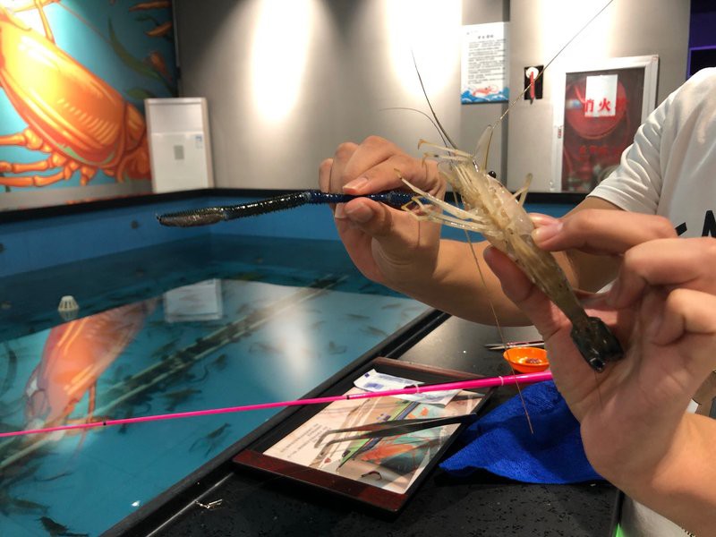 游仙龍魚店，游仙龍魚店的價格范圍