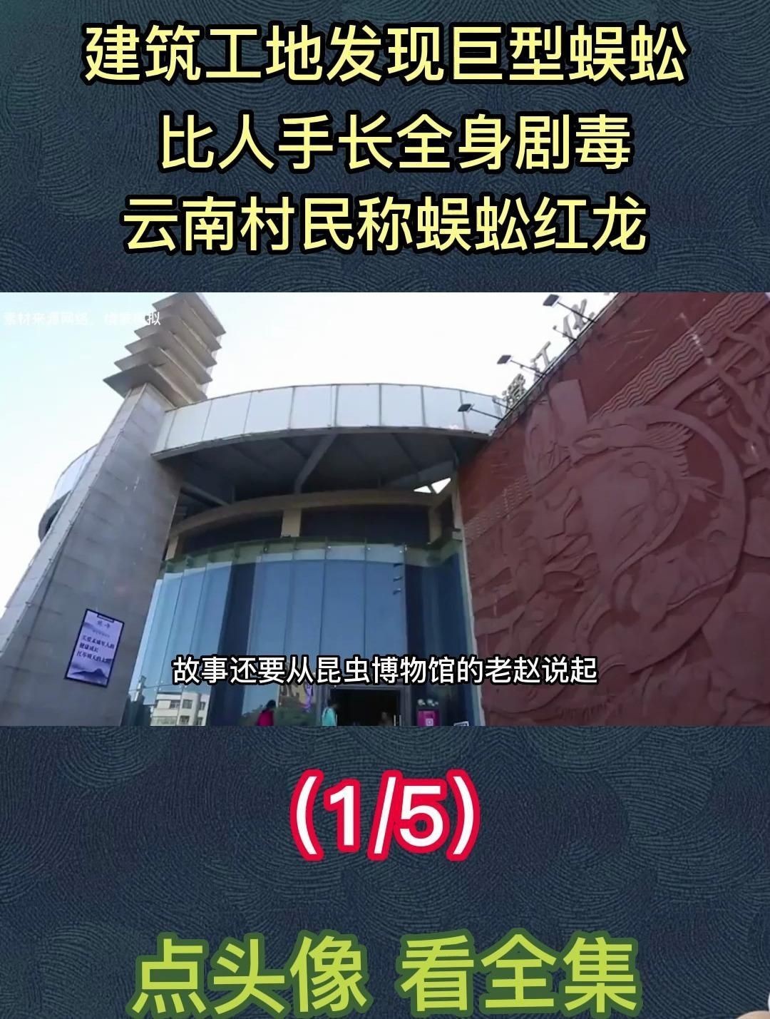 紅龍蜈蚣的具體毒性有多強？，五毒之首的蜈蚣，為何毒不倒大公雞公雞的段位究竟有多強！