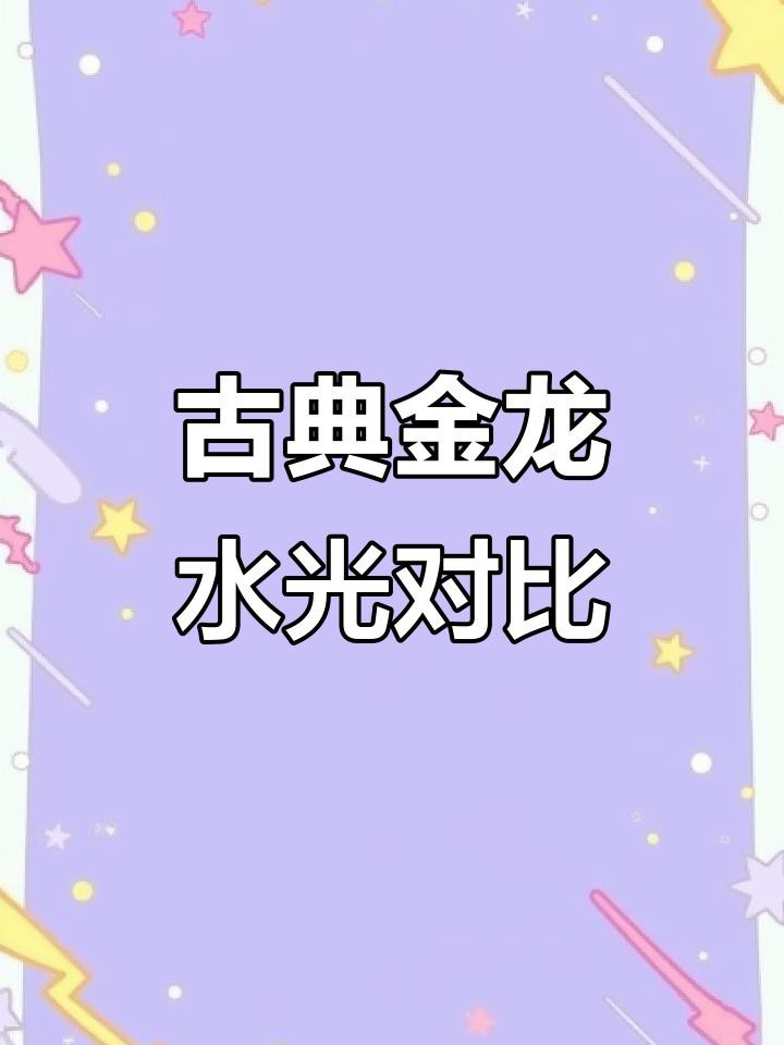 哪種金龍魚更具有觀賞價值？，古典金龍魚出水照與缸內(nèi)效果對比哪種更吸引你編輯
