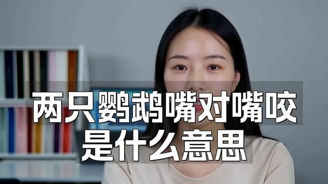 兩只鸚鵡互相咬嘴是在干什么，鸚鵡互相咬嘴是什么意思