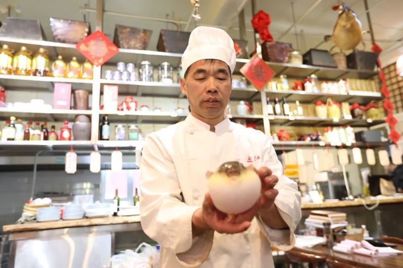 盤(pán)錦龍魚(yú)店，盤(pán)錦市特色水族相關(guān)店鋪