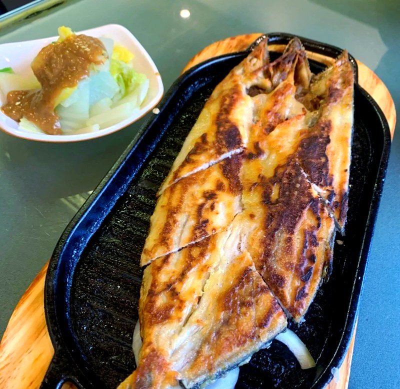 盤(pán)錦龍魚(yú)店，盤(pán)錦市特色水族相關(guān)店鋪