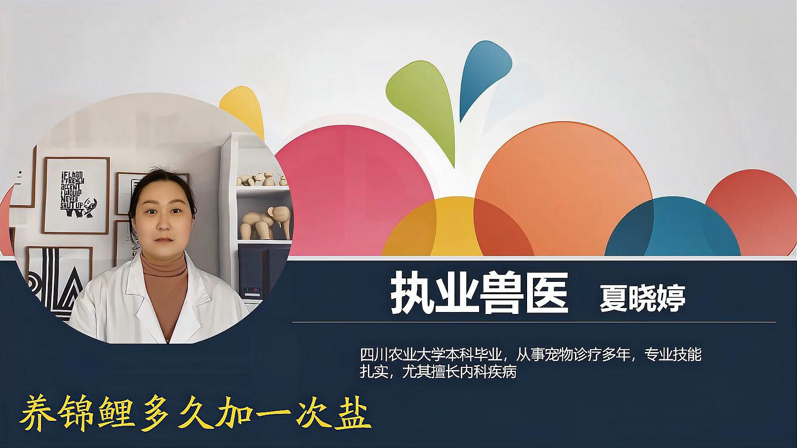 養錦鯉多久加一次鹽，《養錦鯉多久加一次鹽》錦鯉養殖鹽的正確用法及注意事項