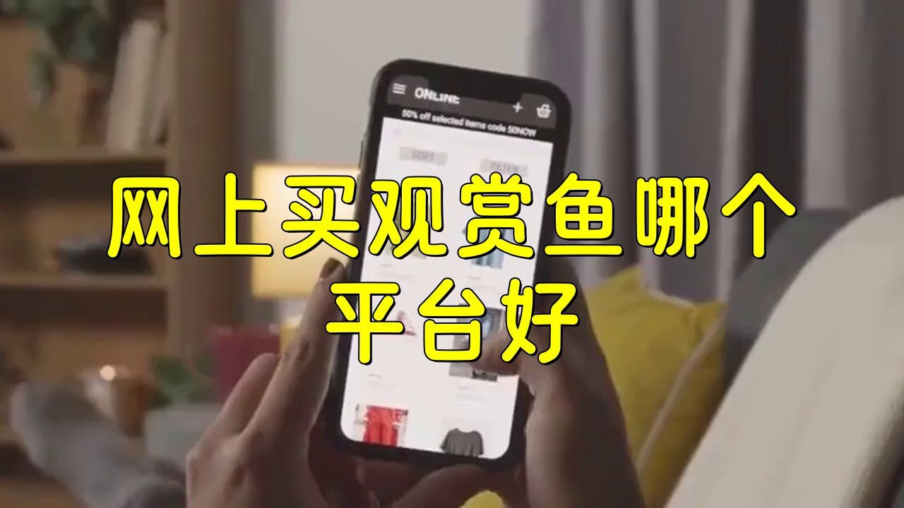 哪個平臺買魚好，《哪個平臺買魚好》在哪里買觀賞魚哪個平臺好