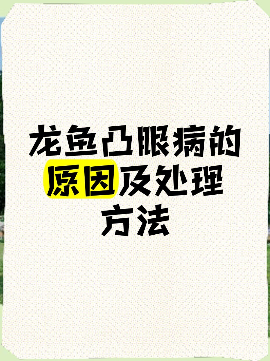 如何判斷龍魚是否復(fù)發(fā)凸眼病？，龍魚凸眼病怎么辦