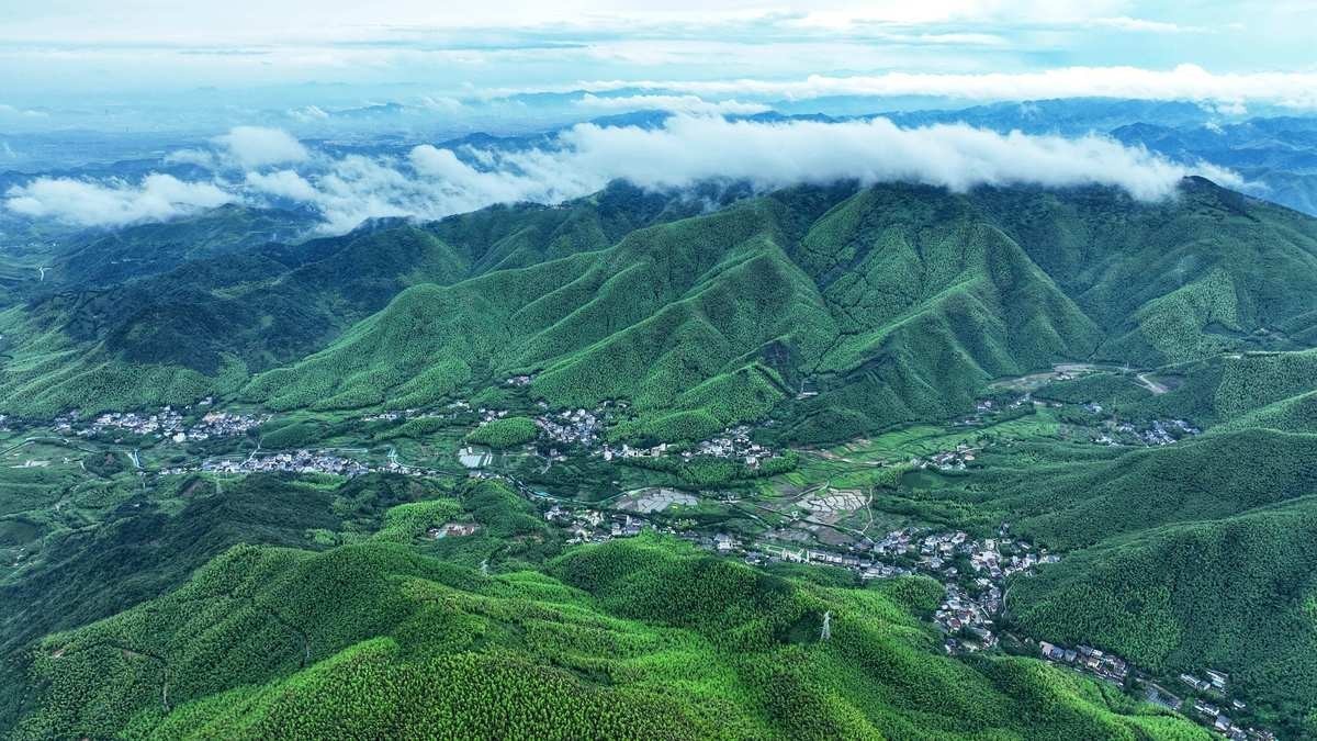 德清龍魚店，德清的名場“面”就藏在…