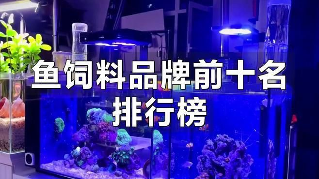 紅龍魚最好的三個牌子，紅龍魚飼料品牌排行榜