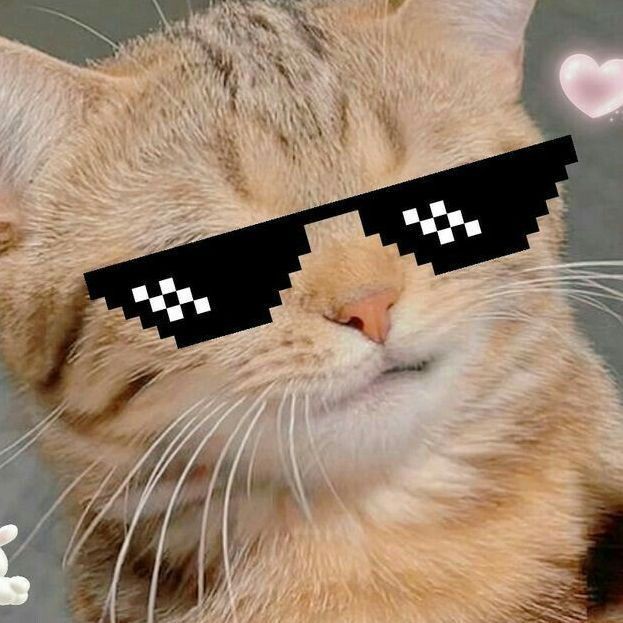 紅勾銀板魚價格2023最新價格表，2023年紅勾銀板魚市場供需情況如何區分紅勾銀板魚