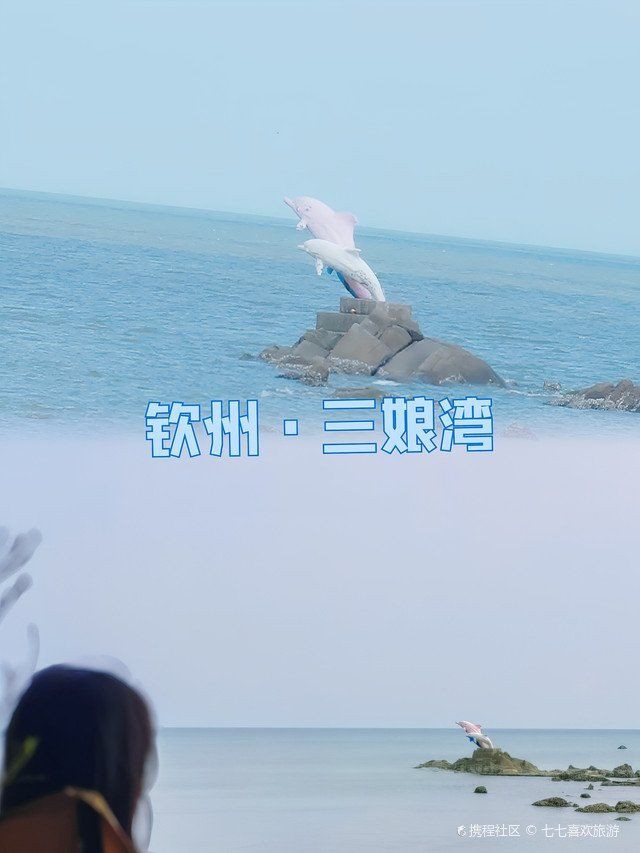 欽州水族館，探秘欽州水族館：一場跨越五洲奇幻之窗的奇幻之旅 欽州水族館，探秘欽州水族館：一場跨越五洲奇幻之窗的奇幻之旅 全國水族館企業名錄 第6張