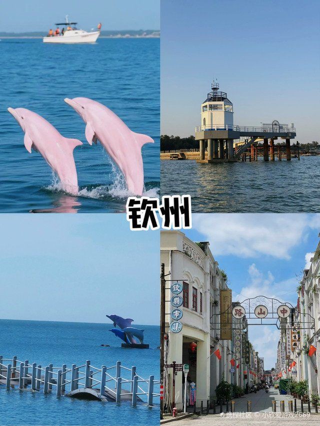 欽州水族館，探秘欽州水族館：一場跨越五洲奇幻之窗的奇幻之旅 欽州水族館，探秘欽州水族館：一場跨越五洲奇幻之窗的奇幻之旅 全國水族館企業名錄 第8張