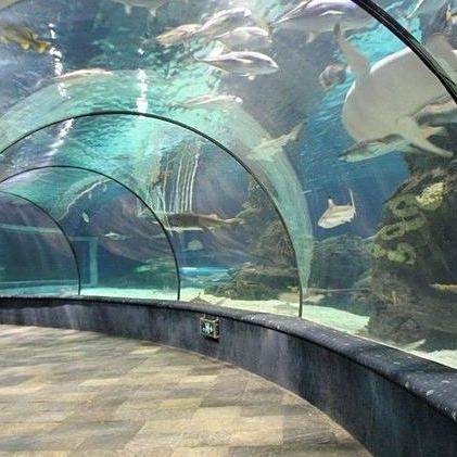 嘉善水族店，嘉善縣擁有多家特色鮮明的水族店，為當?shù)鼐用窦皭酆谜咛峁┴S富的選擇