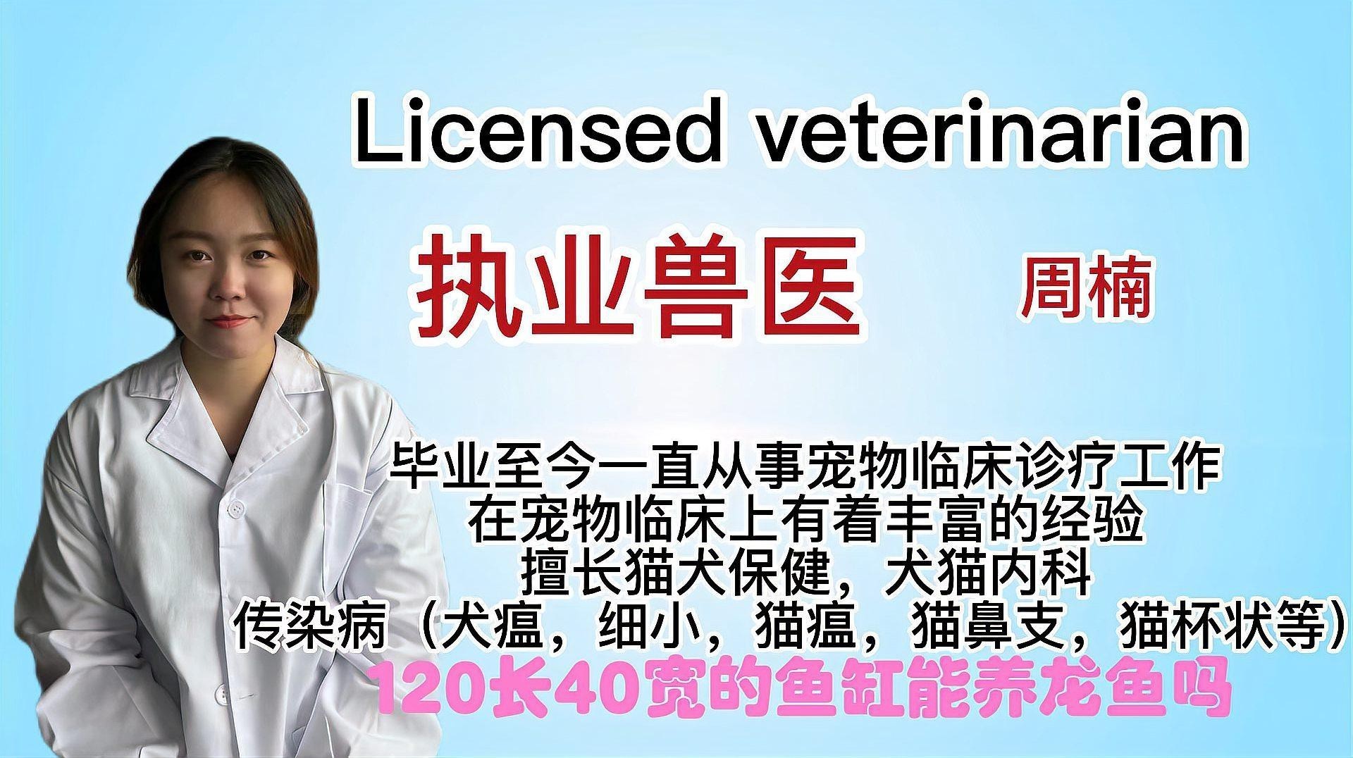60寬的魚(yú)缸可以養(yǎng)龍魚(yú)嗎，60寬的魚(yú)缸可以養(yǎng)龍魚(yú)嗎60寬的魚(yú)缸可以養(yǎng)龍魚(yú)嗎