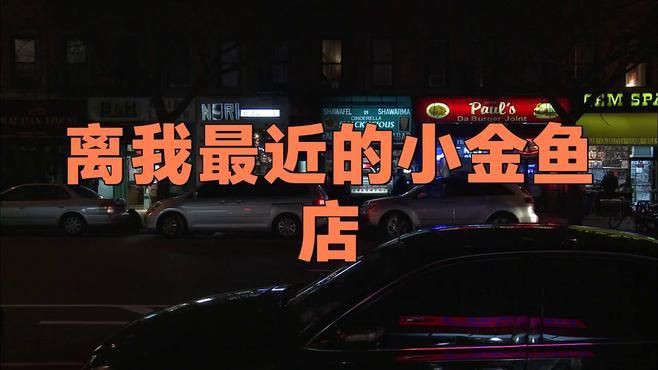 離我最近的小金魚店，《離我最近的小金魚店》