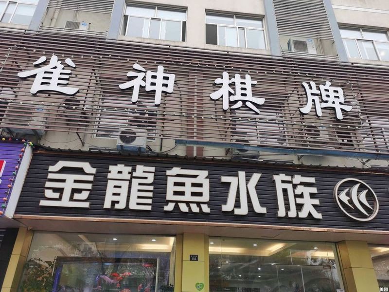 離我最近的小金魚店，《離我最近的小金魚店》