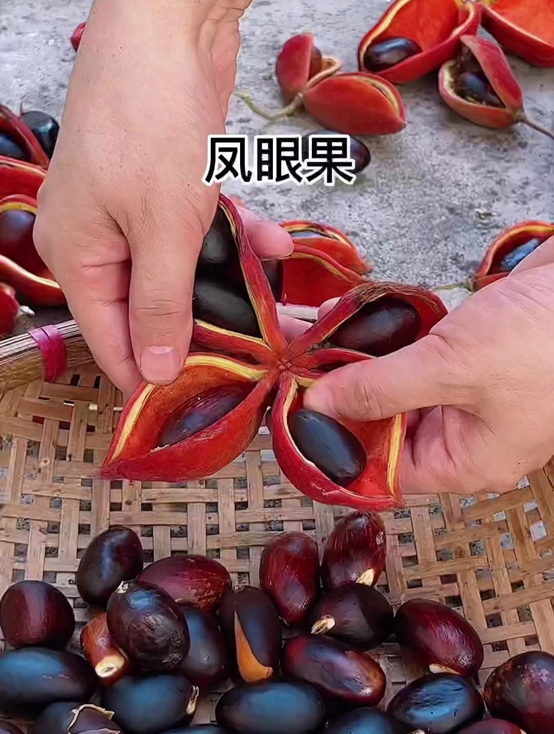 鳳眼果又叫什么名字，鳳眼果在廣東叫什么