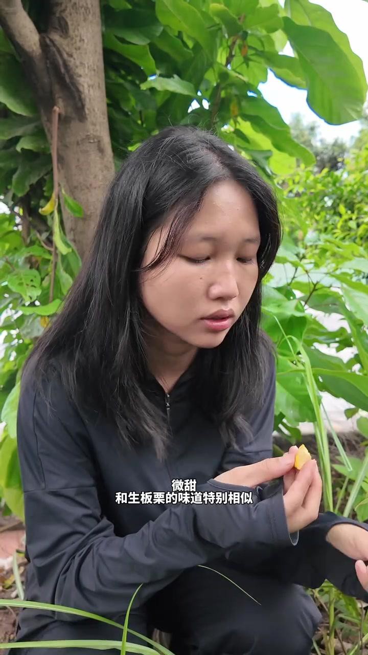 鳳眼果又叫什么名字，鳳眼果在廣東叫什么