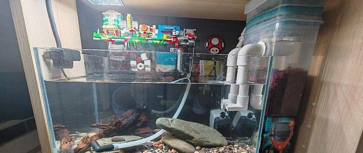 濮陽魚缸批發市場，濮陽魚缸批發市場信息綜合信息綜合信息綜合信息整理