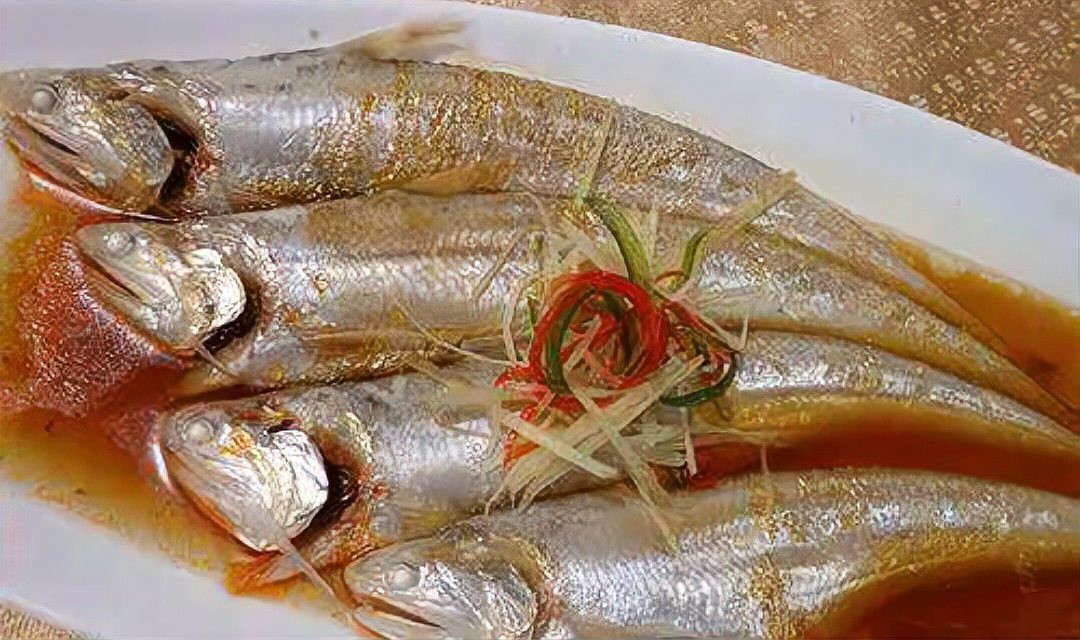 刀魚為什么養殖不了，《刀魚為什么養殖不了》刀魚為什么養殖不了刀魚