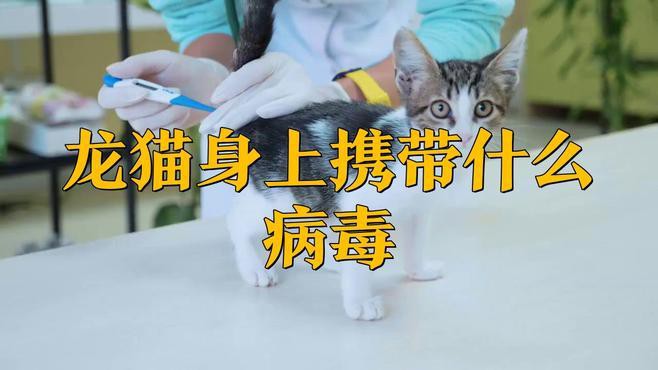 如何預防龍貓攜帶的病毒傳播？，如何預防龍貓攜帶病毒傳播