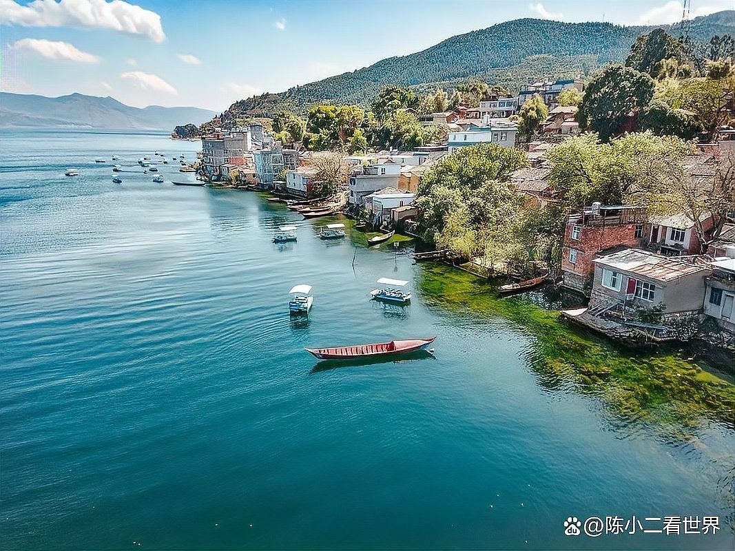 澄江龍魚店，云南澄江龍魚店有哪些特色魚類有沒有推薦的高端龍魚店