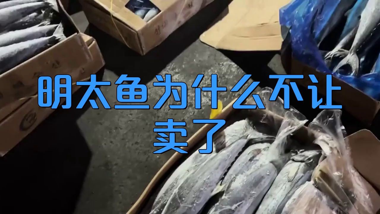 明太魚為什么不讓賣了，明太魚為什么不讓賣了自然之子,大饑荒中拯救了無(wú)數(shù)朝鮮人