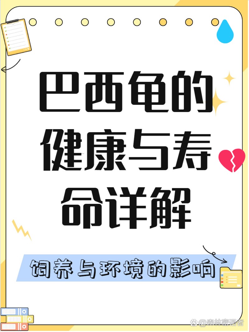 人工養殖巴西龜壽命范圍，人工養殖巴西龜的壽命范圍及其影響因素