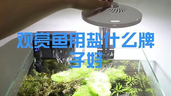 口碑最好的水族鹽品牌，口碑最好的水族鹽品牌排行榜京東養(yǎng)魚消毒鹽品牌排行榜