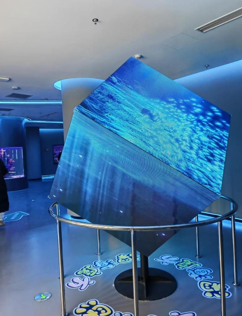 唐山水族店，唐山哪里有水族店