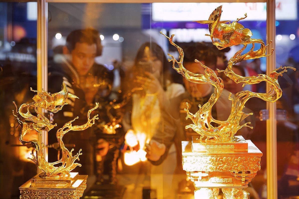 有哪些著名的紅龍魚賽事？，2021年首屆“盤古杯”世界龍魚錦標賽在廣州舉辦