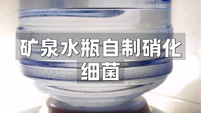 礦泉水瓶自制細菌屋，《礦泉水瓶自制細菌屋》