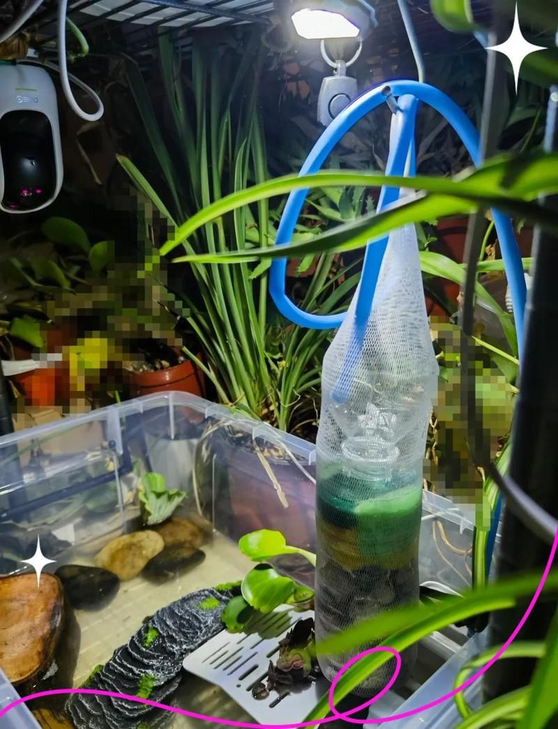 礦泉水瓶自制細(xì)菌屋，《礦泉水瓶自制細(xì)菌屋》