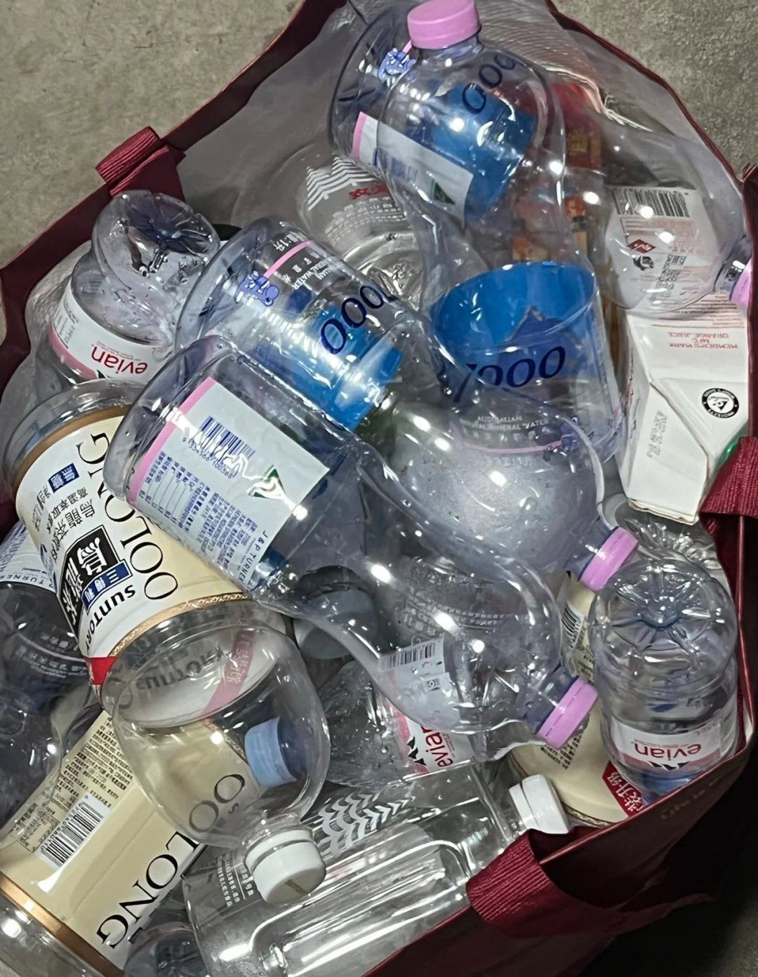 礦泉水瓶自制細菌屋，《礦泉水瓶自制細菌屋》