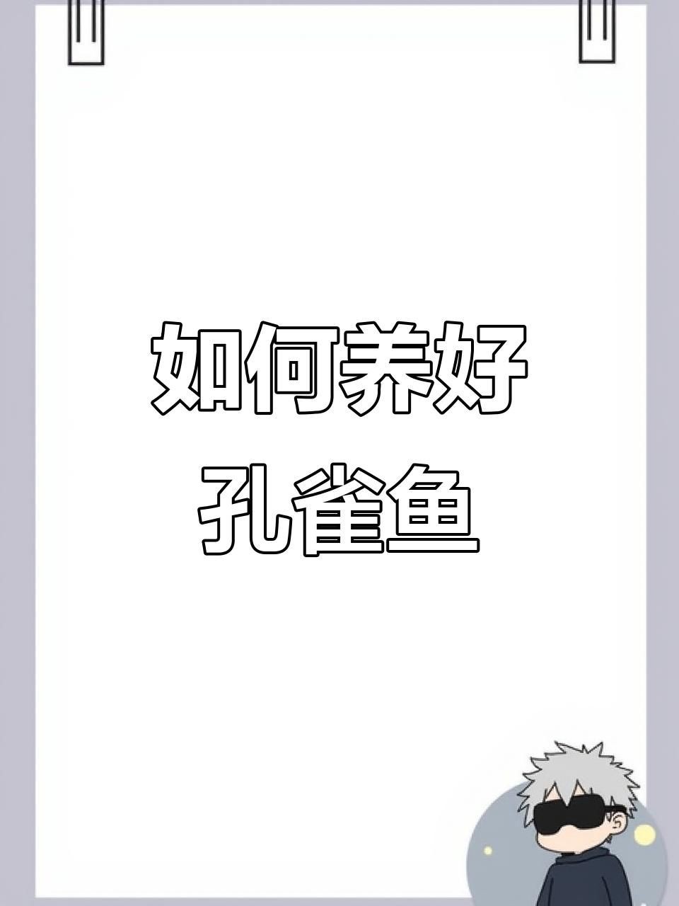 孔雀魚簡介，孔雀魚——熱帶魚中的花孔雀