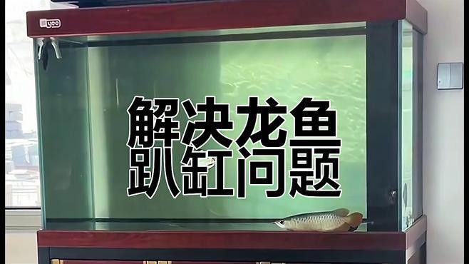 如何判斷龍魚趴缸的原因？，第492話龍魚趴缸攻略嗶哩嗶哩嗶哩嗶哩嗶哩嗶哩嗶哩嗶哩嗶哩嗶哩