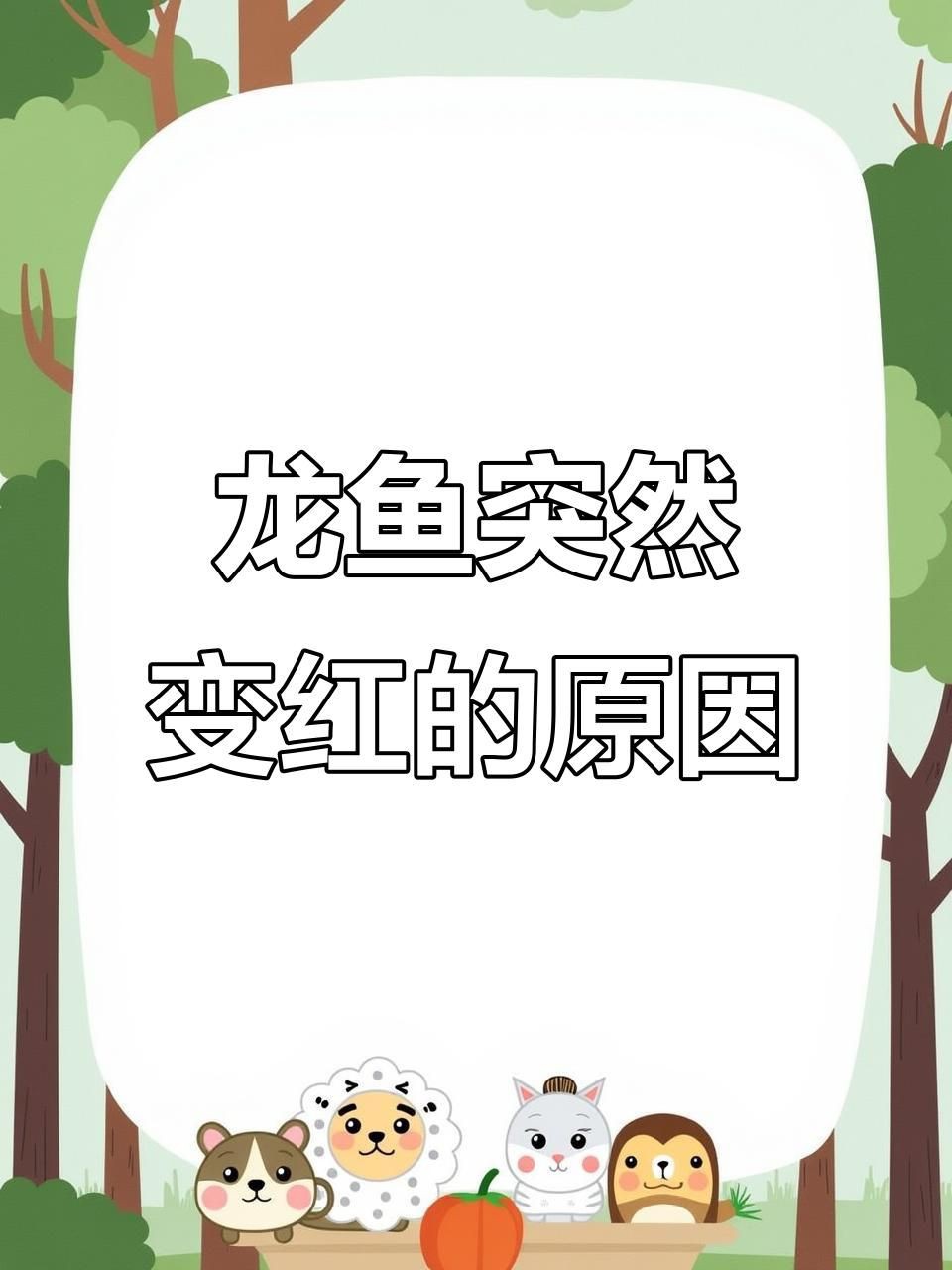 紅龍發(fā)色遺傳因素解析，嗶哩嗶哩影響觀賞魚紅龍發(fā)色的因素有哪些
