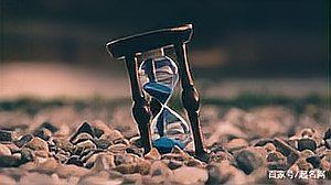 冷門森系ins英文名，《冷門森系ins英文名》20個兼具冷門特質與森系美學的英文名