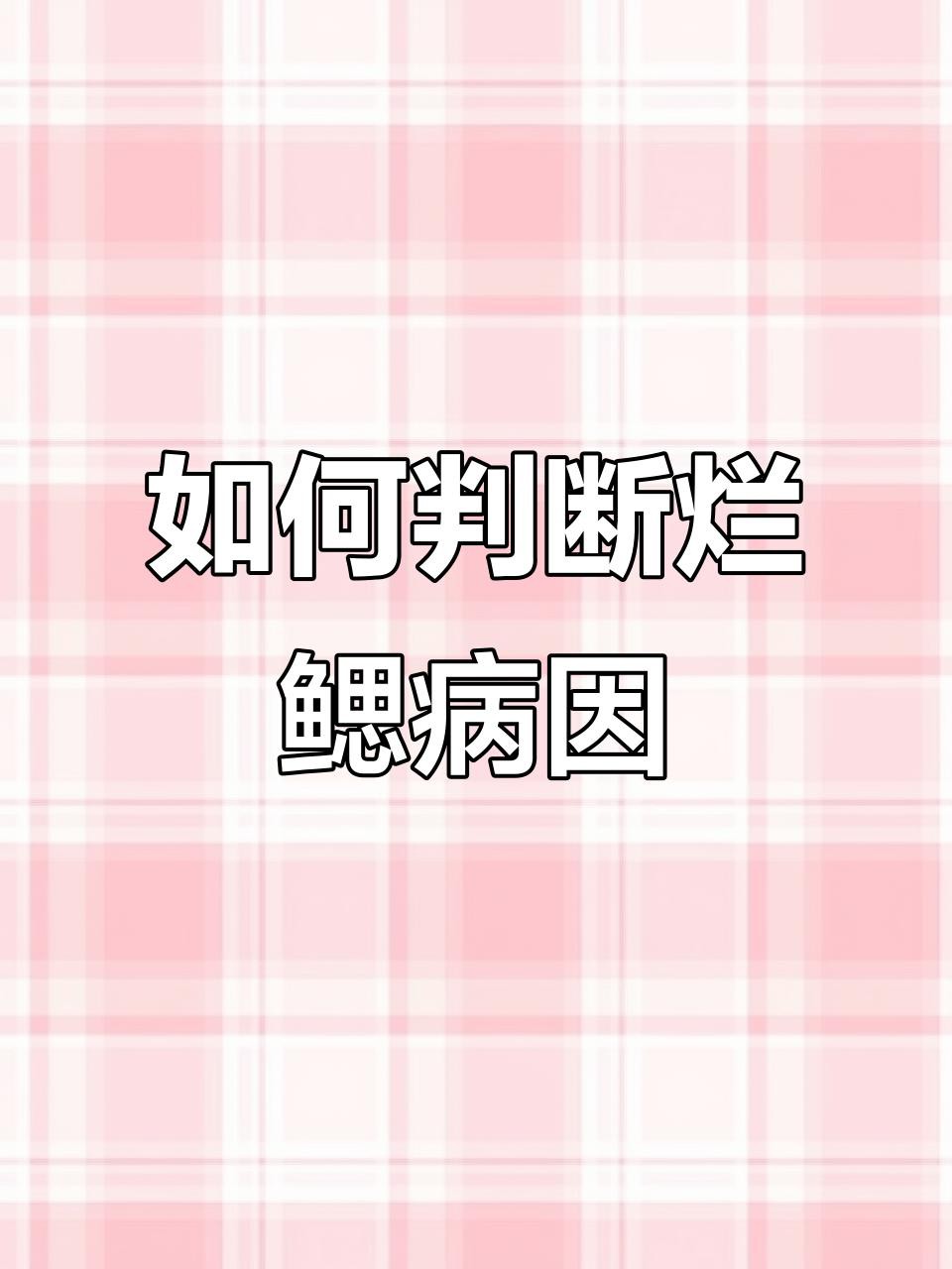 如何判斷龍魚是否患有爛鰓？，如何判斷龍魚是否患有爛鰓病