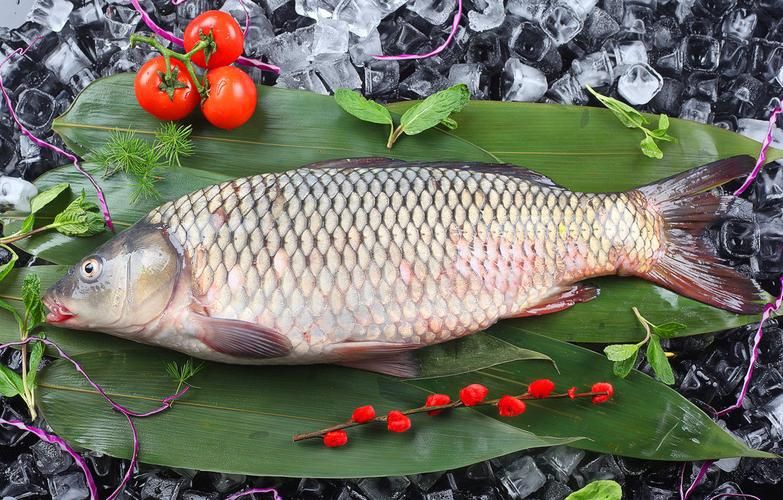 鯉魚大全圖片，濟(jì)南26斤糖醋黃金鯉獨(dú)攬三項(xiàng)最佳單項(xiàng)獎(jiǎng)