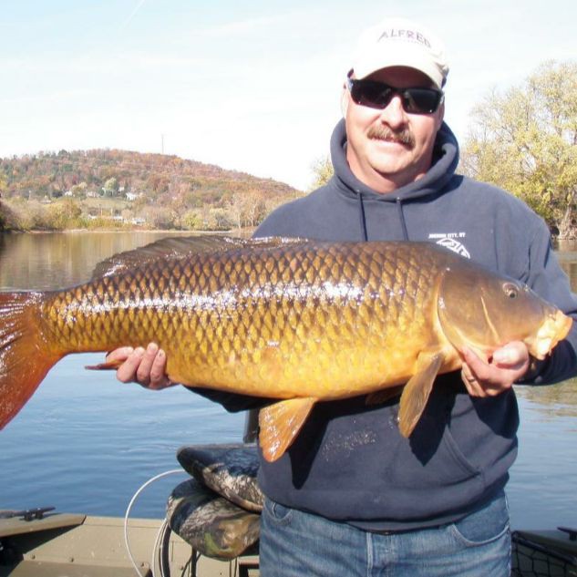 鯉魚大全圖片，濟(jì)南26斤糖醋黃金鯉獨(dú)攬三項(xiàng)最佳單項(xiàng)獎(jiǎng)