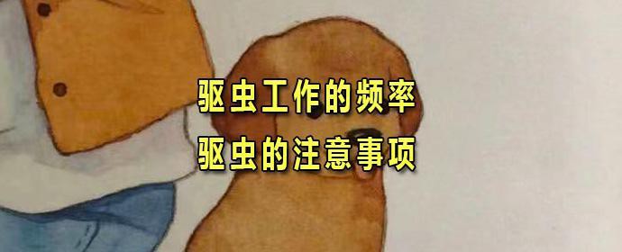 50cm金龍魚多久驅(qū)蟲一次，50cm金龍魚的驅(qū)蟲頻率如何調(diào)整