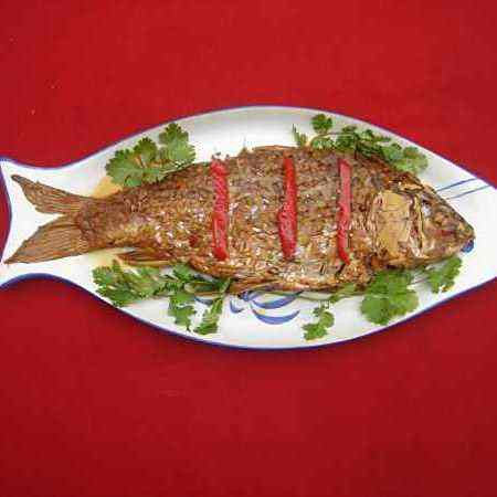 弋陽龍魚店，南信水族龍魚貿易店內有哪些龍魚品種弋陽龍魚店 弋陽龍魚店，南信水族龍魚貿易店內有哪些龍魚品種弋陽龍魚店 全國水族館企業名錄 第2張