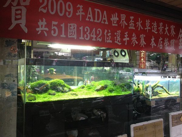 民權(quán)水族店，民權(quán)縣有哪些水族店