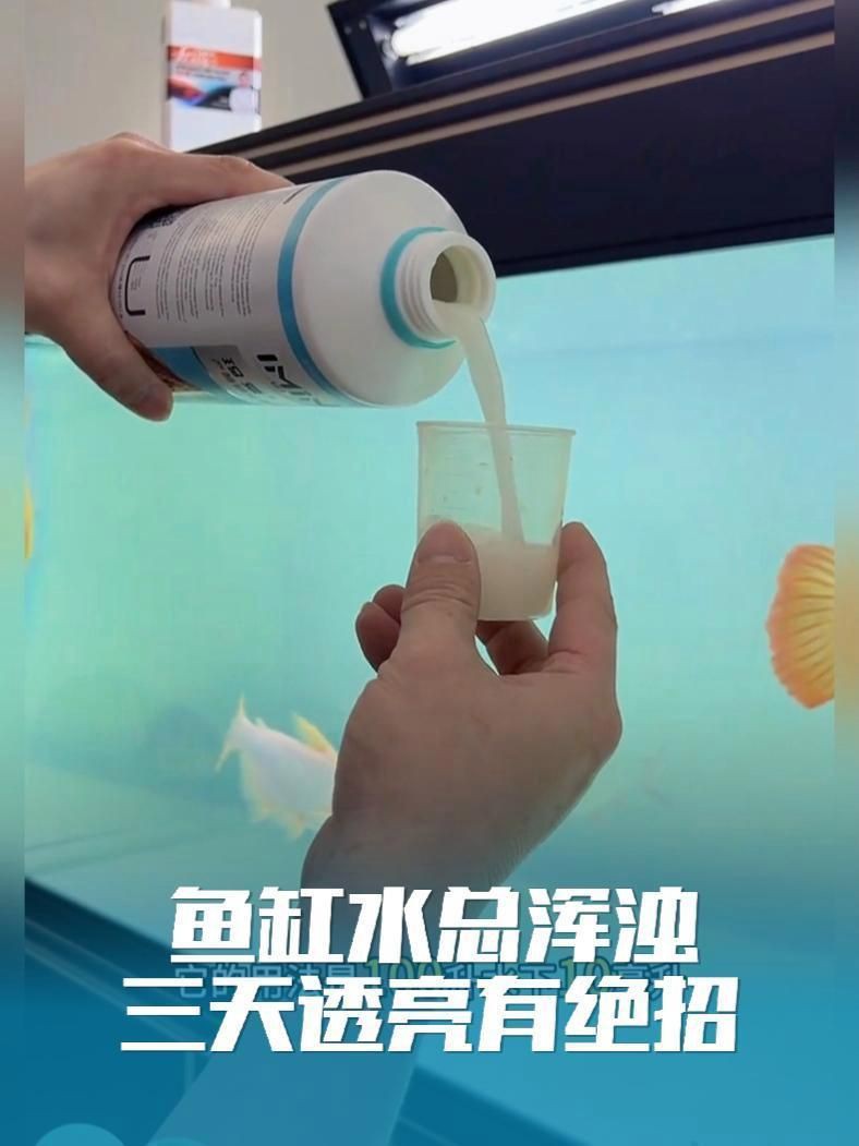 瑪豆水族消化活菌，瑪豆水族消化活菌是一款專為優(yōu)化水族環(huán)境設(shè)計(jì)的微生物制劑