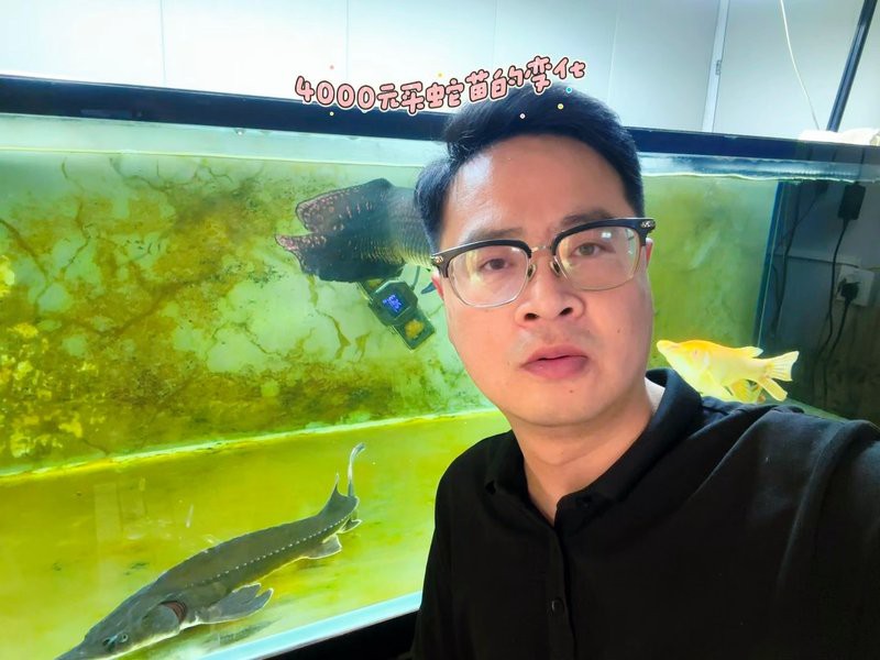 彩虹雷龍發色需要多長時間？，如何判斷彩虹雷龍是否開始發色？