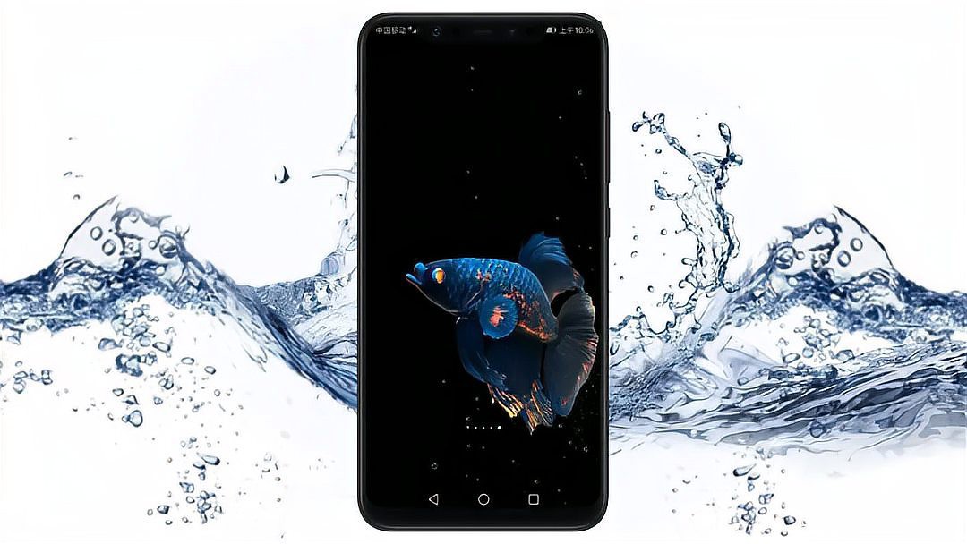 如何設置紅龍魚手機壁紙？，如何設置紅龍魚手機壁紙