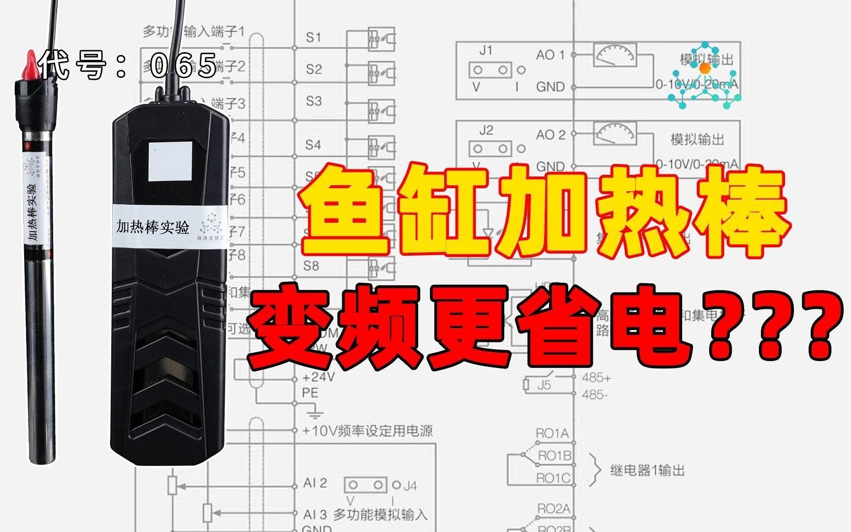 如何為龍魚缸設置合適的加熱棒？，《如何為龍魚缸設置合適的加熱棒》