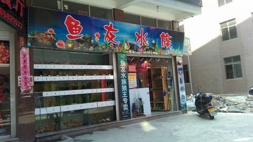 開水族店需要什么條件，加盟星開水族店需要什么證件加盟星開水族店需要辦什么證件